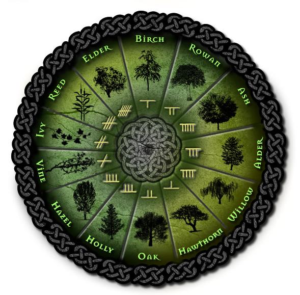 Tree Lore - The Ogham Alphabet