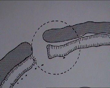 avebury fourth circle