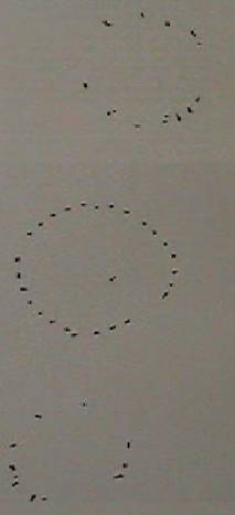 The Hurlers triple circles.