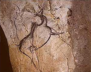 Megaceros, chauvet cave, France.