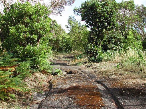 Cart-ruts. Azores, Terceira.