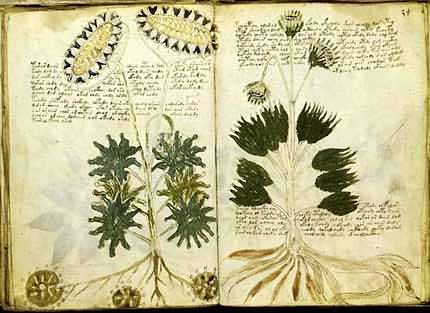 The Voynicht Manuscript